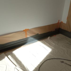pq painting phoenix  
