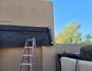 pq painting phoenix  